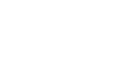 Language Virtuoso