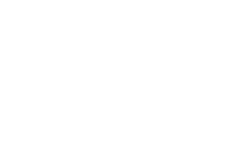 Language Virtuoso